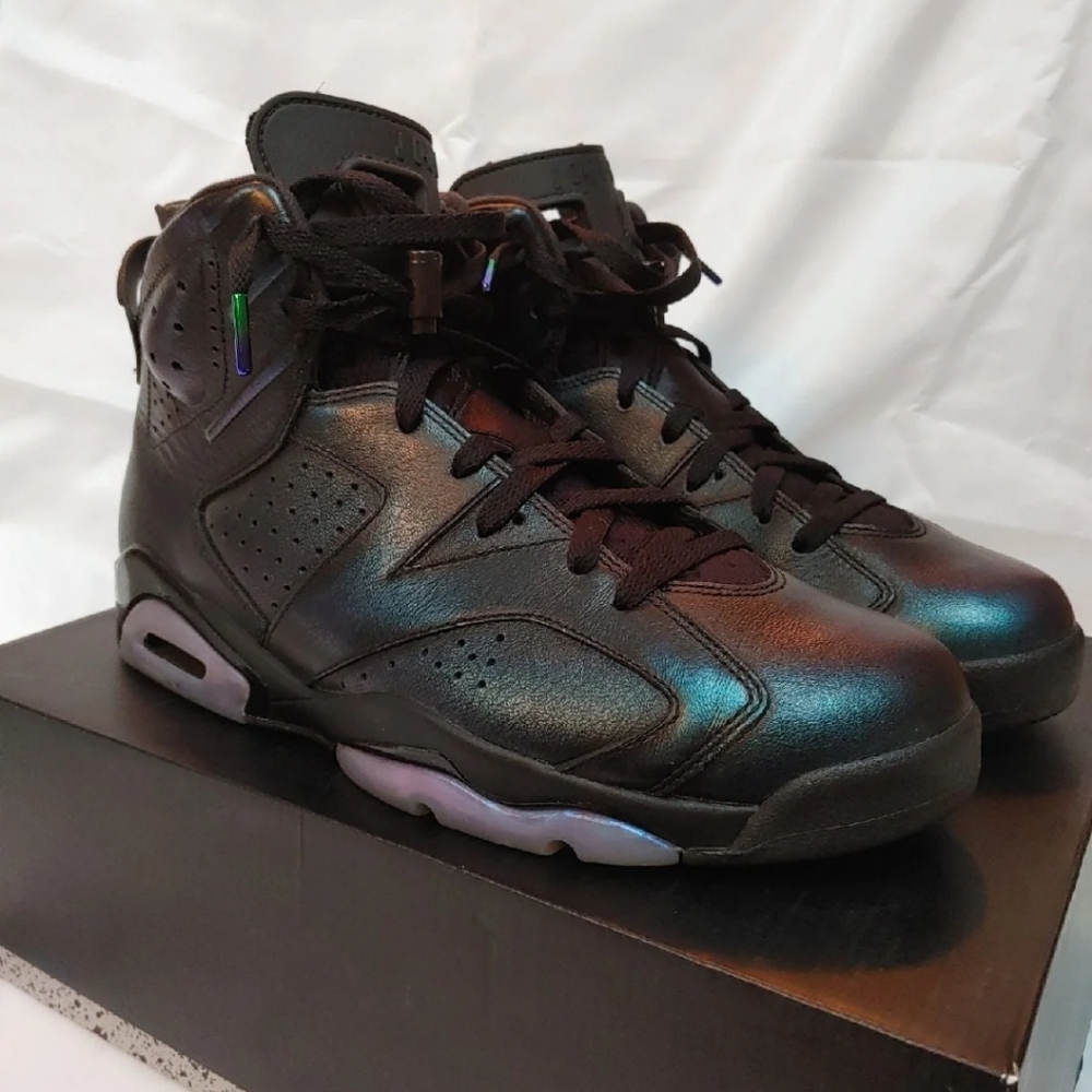 Jordan 6 Retro All Star 2017 "Chameleon" size 11.5 - Picture 9 of 10